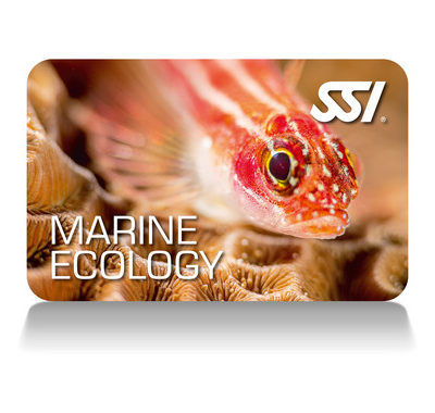 JOIN OUR MARINE ECOLOGY COURSES<